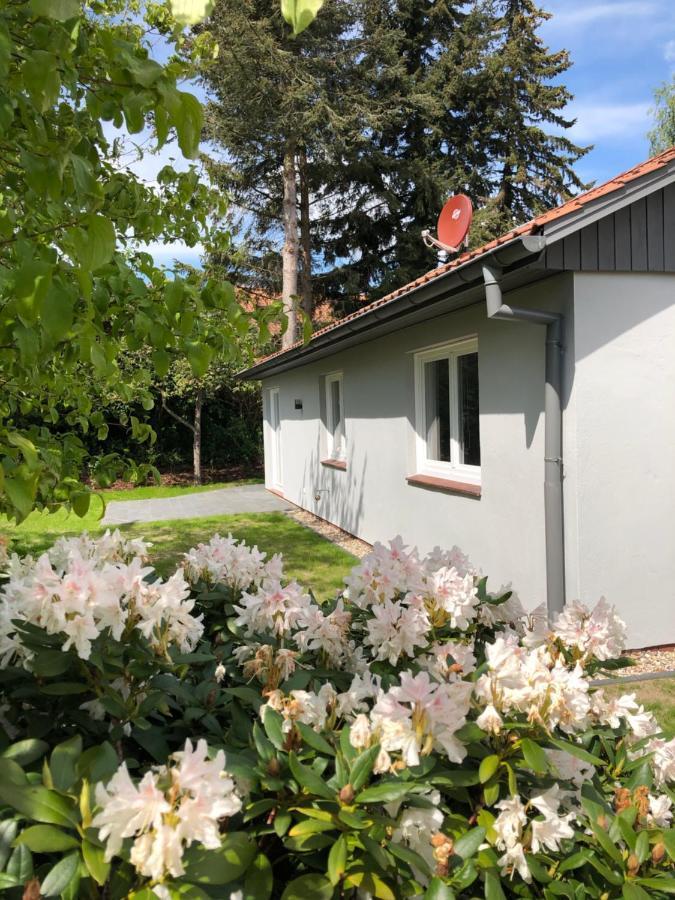 Willa Kleine Auszeit In Salzhausen Zewnętrze zdjęcie